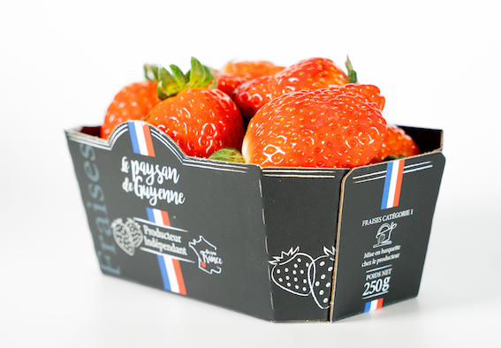 Vue de profil barquette de fruits en carton personnalisée Le Paysan de Guyenne par marcojea.